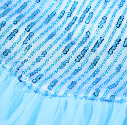 Ice Blue Snow Princess Costume
