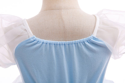 Blue Dream Princess Costume Ball Gown