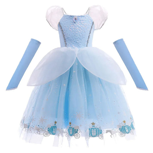 Blue Dream Princess Costume Ball Gown